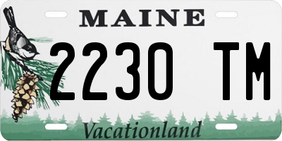 ME license plate 2230TM