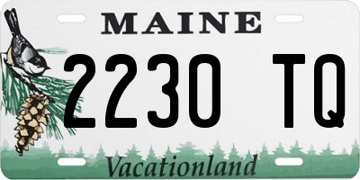 ME license plate 2230TQ