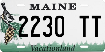 ME license plate 2230TT