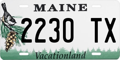 ME license plate 2230TX