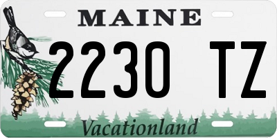 ME license plate 2230TZ