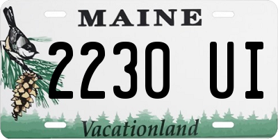 ME license plate 2230UI