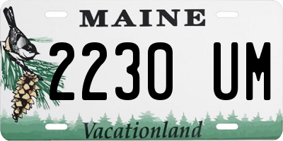 ME license plate 2230UM