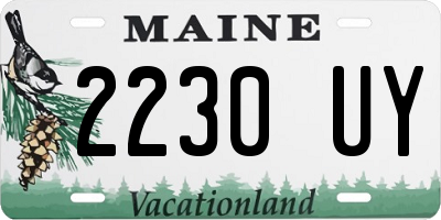 ME license plate 2230UY