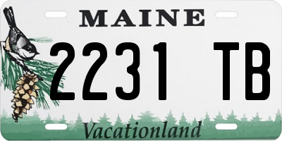 ME license plate 2231TB
