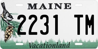 ME license plate 2231TM