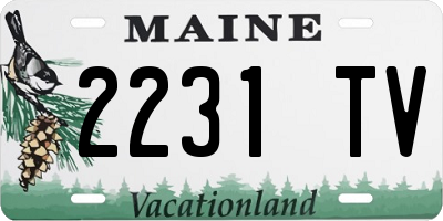 ME license plate 2231TV