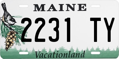 ME license plate 2231TY