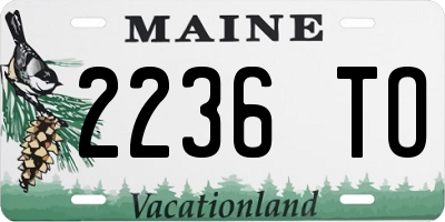 ME license plate 2236TO