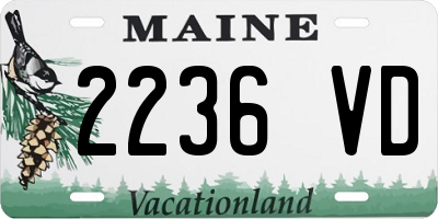 ME license plate 2236VD