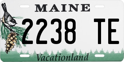 ME license plate 2238TE