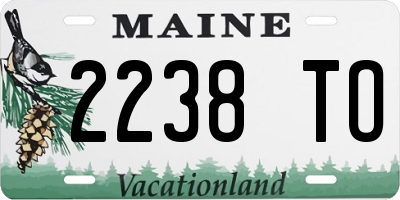 ME license plate 2238TO