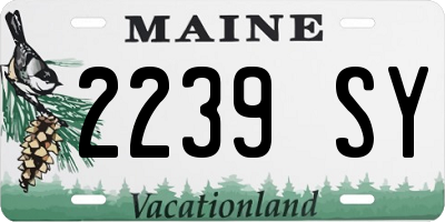 ME license plate 2239SY