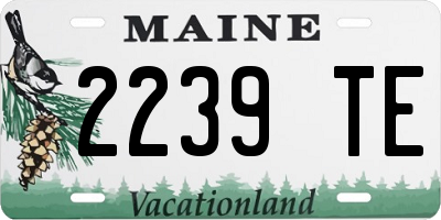 ME license plate 2239TE