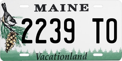 ME license plate 2239TO