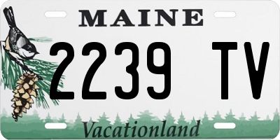 ME license plate 2239TV