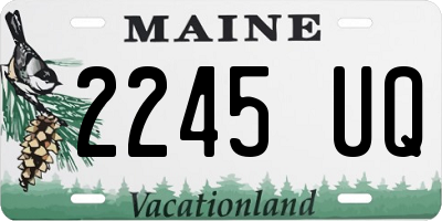 ME license plate 2245UQ