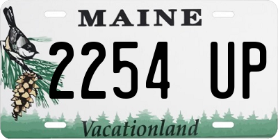 ME license plate 2254UP