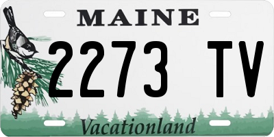 ME license plate 2273TV