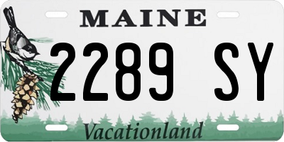 ME license plate 2289SY