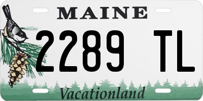 ME license plate 2289TL