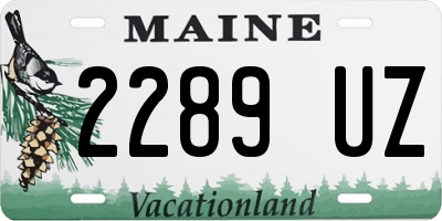 ME license plate 2289UZ