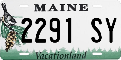 ME license plate 2291SY