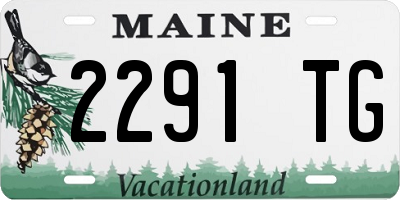 ME license plate 2291TG