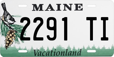 ME license plate 2291TI
