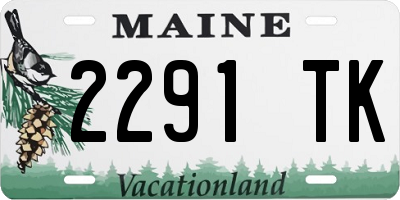 ME license plate 2291TK