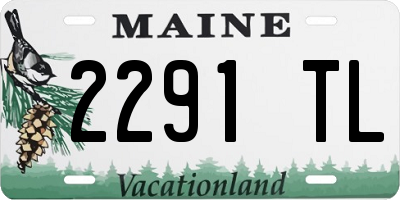 ME license plate 2291TL