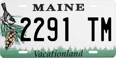 ME license plate 2291TM