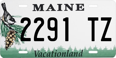 ME license plate 2291TZ