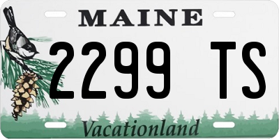 ME license plate 2299TS