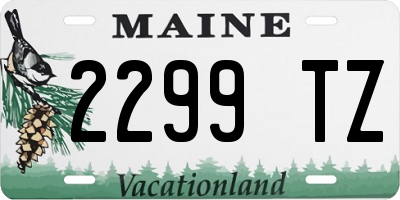 ME license plate 2299TZ