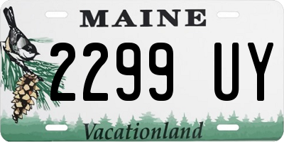 ME license plate 2299UY