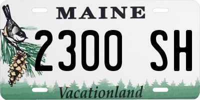 ME license plate 2300SH