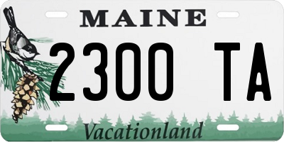 ME license plate 2300TA