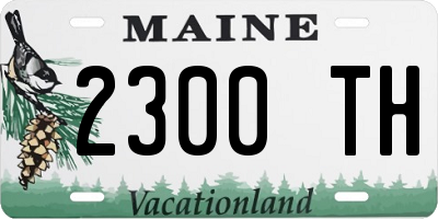 ME license plate 2300TH
