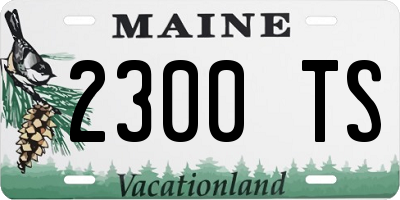 ME license plate 2300TS