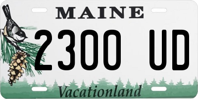 ME license plate 2300UD