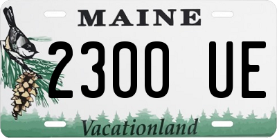 ME license plate 2300UE