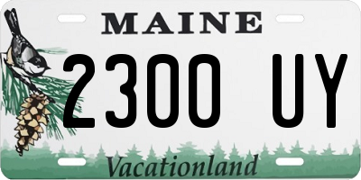 ME license plate 2300UY