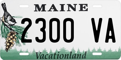 ME license plate 2300VA