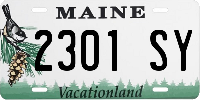 ME license plate 2301SY