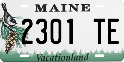 ME license plate 2301TE