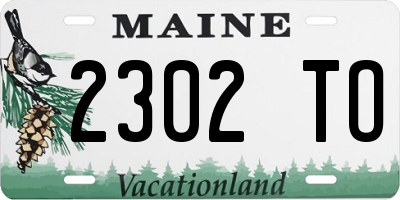 ME license plate 2302TO
