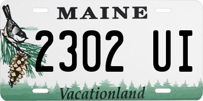 ME license plate 2302UI