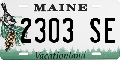 ME license plate 2303SE
