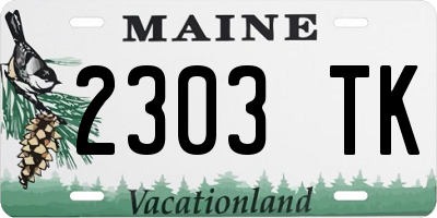 ME license plate 2303TK
